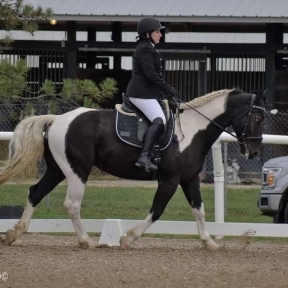 Meet your Posher, Carolyn - Picture 1 of 1